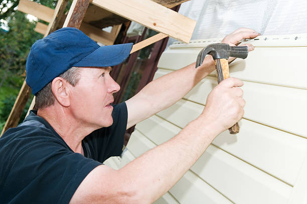 Best Historical Building Siding Restoration  in Mountain Road, VA