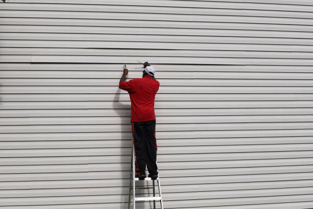 Best Siding Painting and Refinishing  in Mountain Road, VA