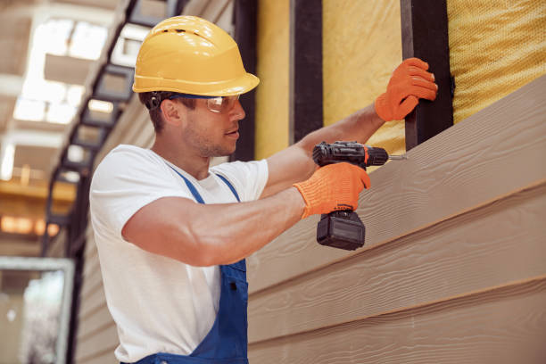 Best Vinyl Siding Installation  in Mountain Road, VA
